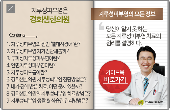 지루성피부염 가이드북