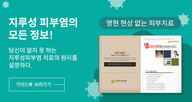가이드북