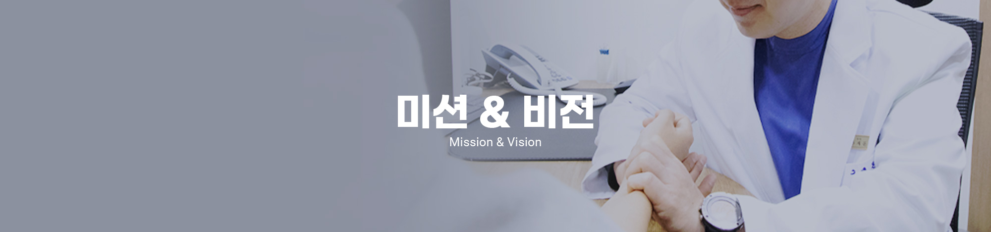 미션비전