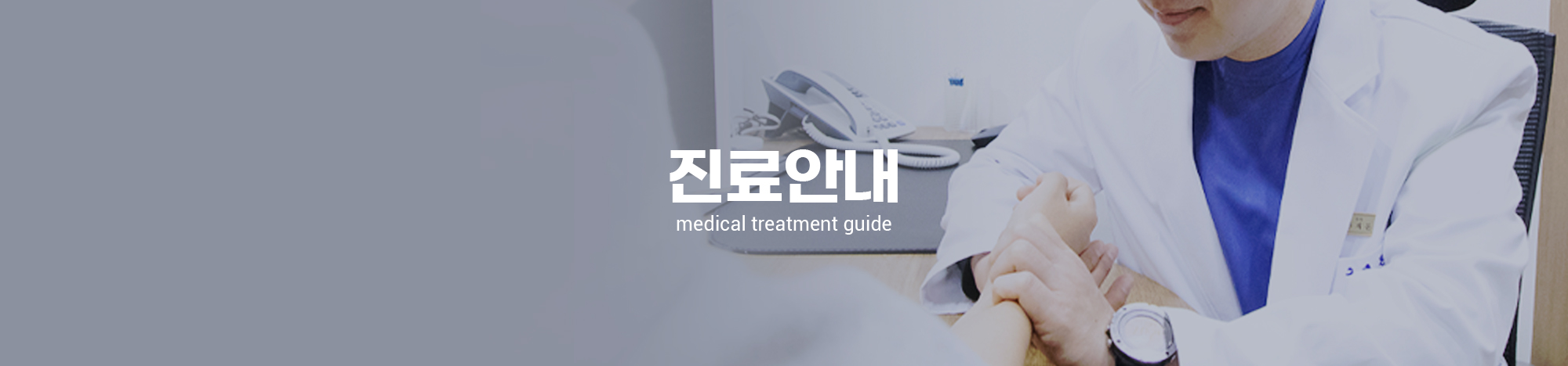 진료안내